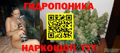 гидра Владивосток