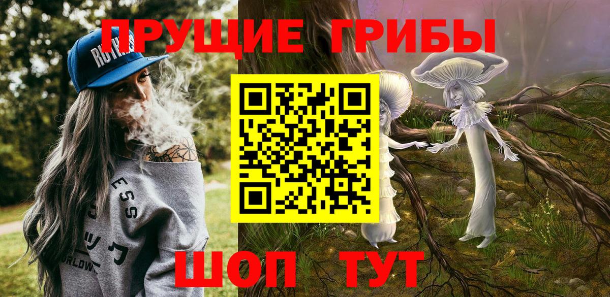 Губкинский  где купить наркоту  Вход с VPN  Псилоцибиновые грибы мицелий 